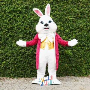 Mascotte Lapin Blanc