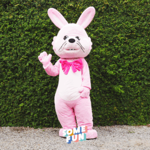 Mascotte Lapin Rose