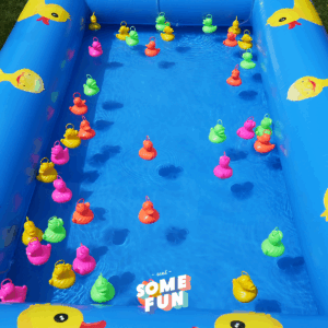 Pêche aux canards bassin