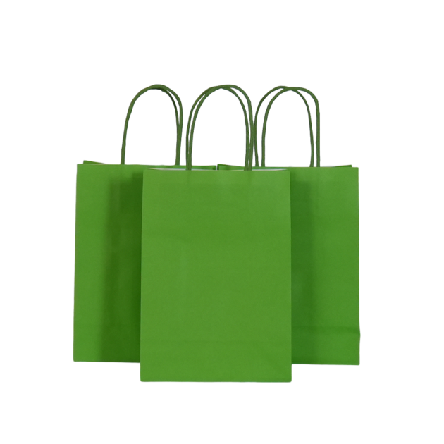 Sacs cadeaux verts x10